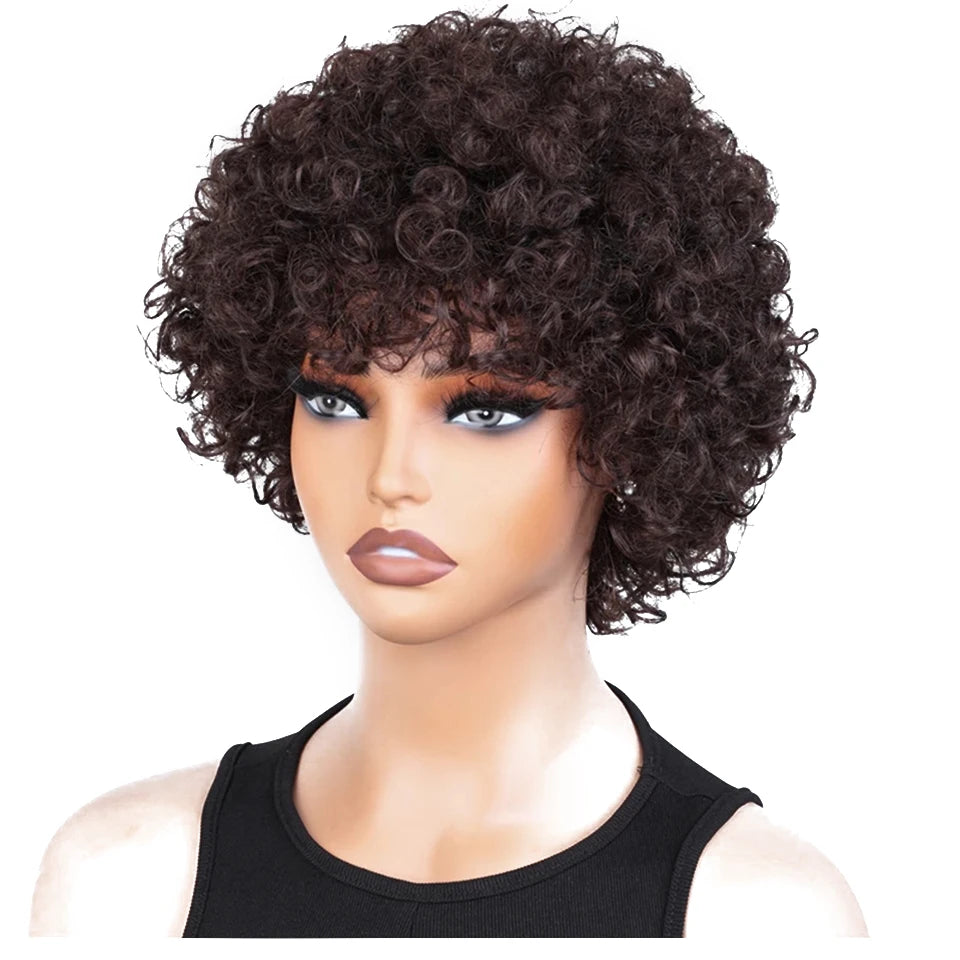 Perruque Courte Pixie Afro Bouclée avec Frange - Cheveux Naturels Brésiliens Remy