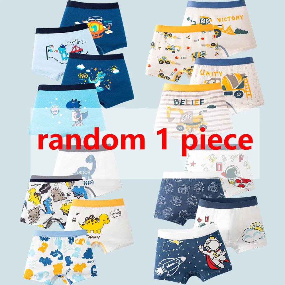 Boxer Garçon Coton - Lot de 1/4/8 Pièces Motif Dinosaure