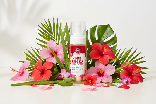 Aloe Locks - Mousse Perfection Hibiscus - Locks, Tresses & Coiffures Protectrices - 165ml