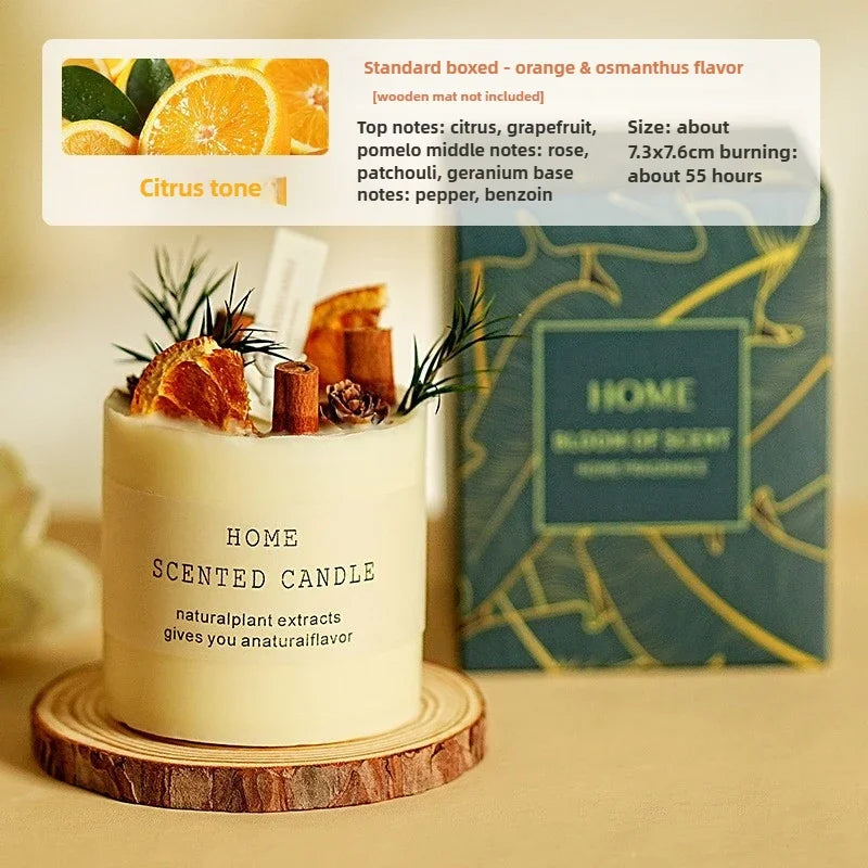 Bougie Parfumée Forêt Enchantée - Cire de Soja Naturelle avec Coffret Cadeau Premium