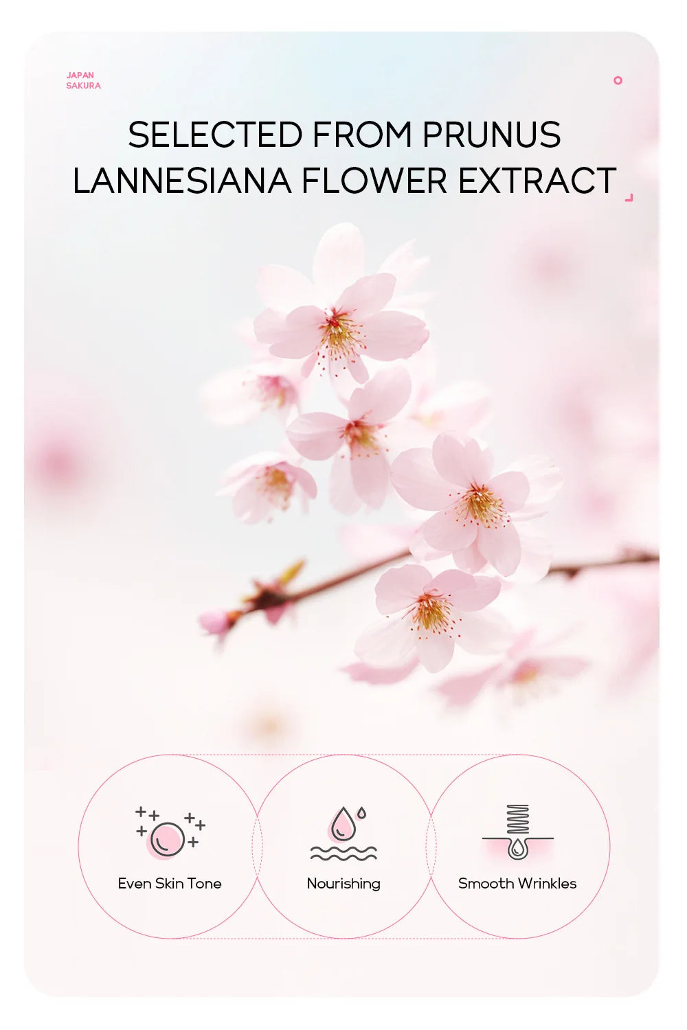 Masque Visage Peel-Off Or 24K Sakura LAIKOU - Anti-Rides Blanchissant Points Noirs Rajeunissement