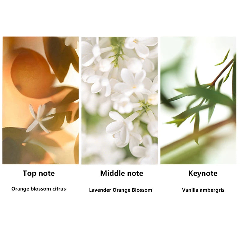 Coffret Cadeau Parfum Homme 3 Pièces 90ml - Eau de Cologne Longue Durée Fascination