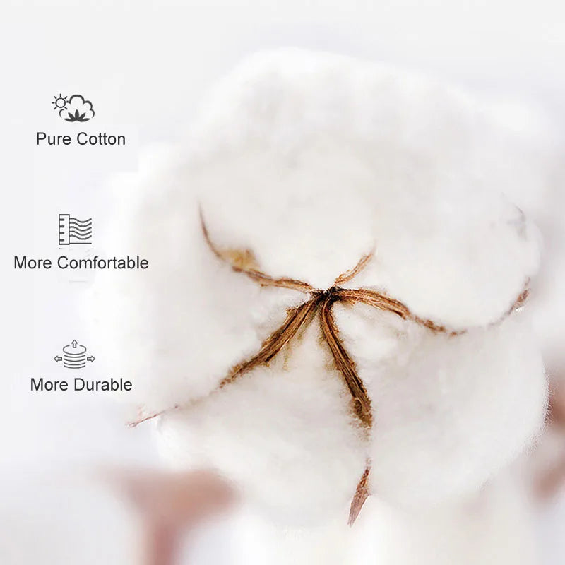 Lot Culottes Filles Motifs Cartoon - Boxers Coton Doux Sous-Vêtements Enfant