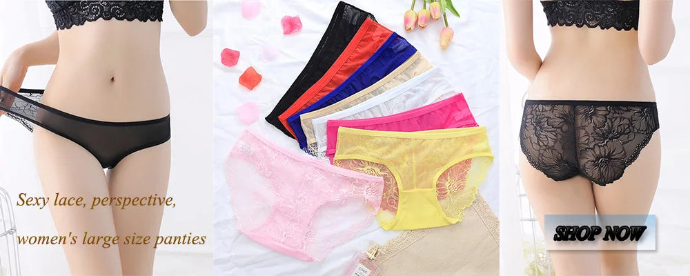 Soutien-Gorge Dentelle Grande Taille Femme - Lingerie Armature Sexy Transparent |