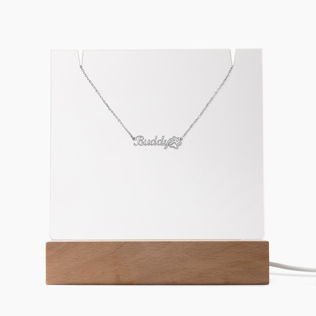 Coffret Porte-Collier Acrylique LED + Collier Empreinte de Patte Personnalisé